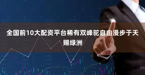 全国前10大配资平台稀有双峰驼自由漫步于天赐绿洲